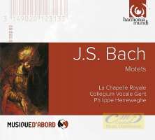 WYCOFANY  Bach: Motets